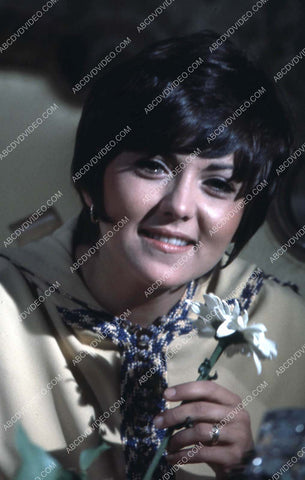 Brenda Vaccaro w a flower 35m-17233
