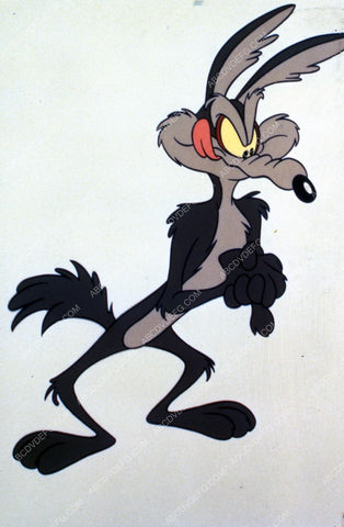 animated character Wile E Coyote 35m-1811