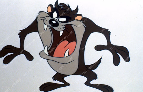 animated character Tasmanian Devil 35m-1815