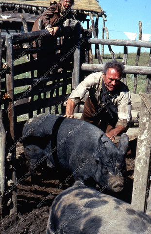 Clint Eastwood feeding the hogs film Unforgiven 35m-1853