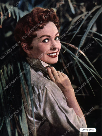 beautiful Jeanne Crain portrait 35m-2323