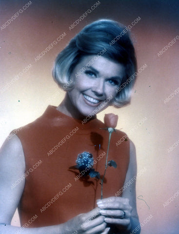Doris Day and a rose portrait 35m-2549