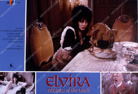 sexy Elvira Mistress of the Dark 35m-3922