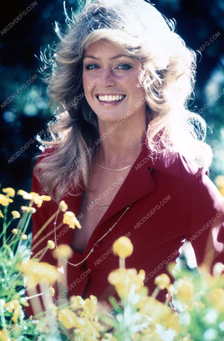 beautiful Farrah Fawcett out in the flowers 35m-4052