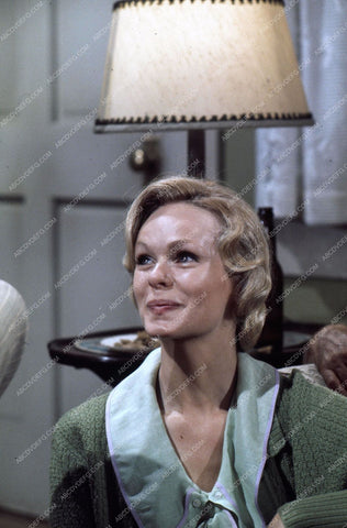 beautiful Lynda Day George pic 35m-4507