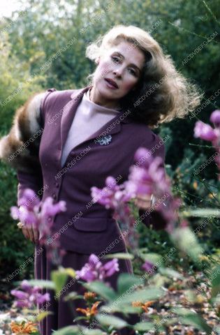 Joan Hackett pictured among the roses 35m-4861