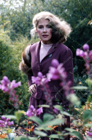 Joan Hackett pictured among the roses 35m-4864