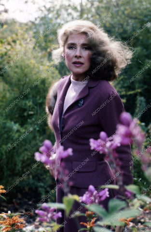 Joan Hackett pictured among the roses 35m-4865
