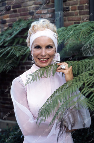 beautiful Janet Leigh standing in the ferns 35m-5905