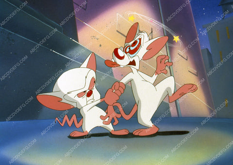 animated cartoon characters TV Pinky and the Brain 35m-6647