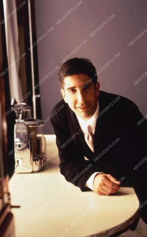 David Schwimmer TV Friends 35m-8233