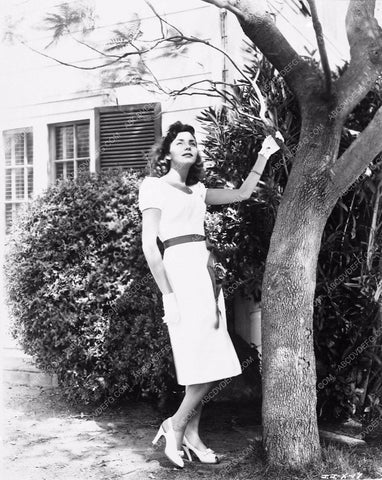 Jennifer Jones 3701-12