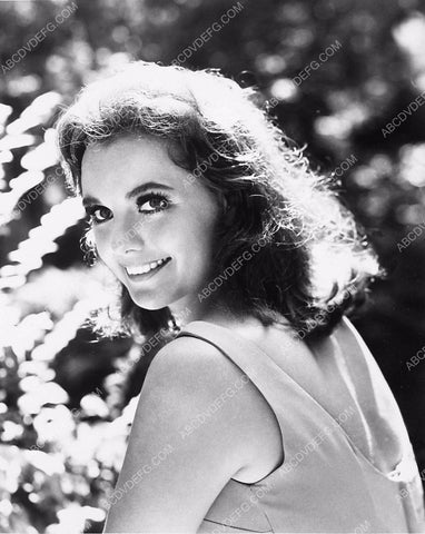 beautiful Dawn Wells in the outdoors 3743-17