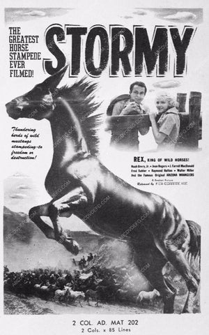 Rex king of the wild horses film Stormy 3761-33
