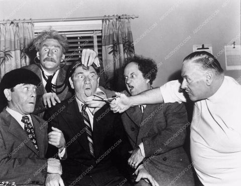 Three Stooges Moe Larry Shemp Vernon Dent short Scrambled Brains 3873-20