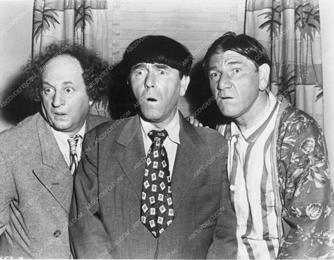 Three Stooges Moe Larry Shemp comedy short Scrambled Brains 3873-26