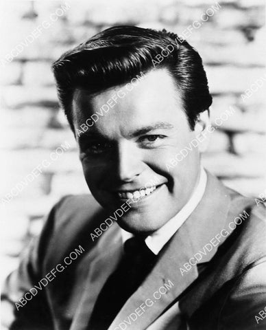 handsome Robert Wagner portrait 4588-19