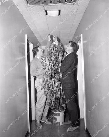 news photo police raid seizes marijuana plant 45bx02-34