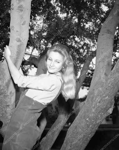Jill Ireland original TV show Star Trek 45bx05-156