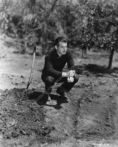 Fred MacMurray working in the outdoors 4651-06