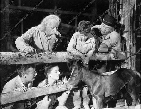 Red Pony cast 4716-15