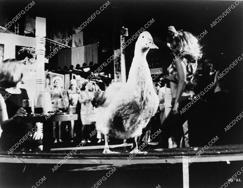 teenagers dancing w giant duck film Village of the Giants 4930-08