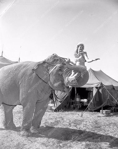 Cole Brothers Circus performers and crew get ready for show 4b10-074