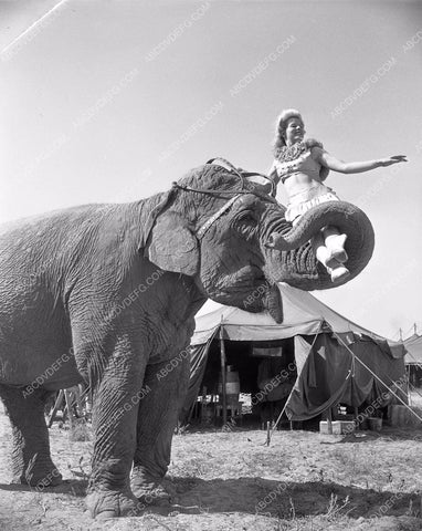Cole Brothers Circus performers and crew get ready for show 4b10-076