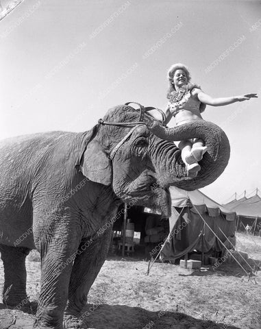 Cole Brothers Circus performers and crew get ready for show 4b10-080