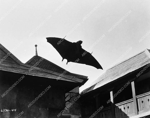 flying vampire bat film The Brides of Dracula 5253-03