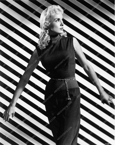 Janet Leigh cool background portrait 5347-10