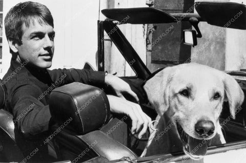 Mark Harmon and the dog TV Sam 5989-25
