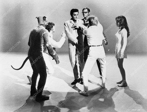 Elvis Presley Michele Carey film Live a Little Love a Little 6022-01