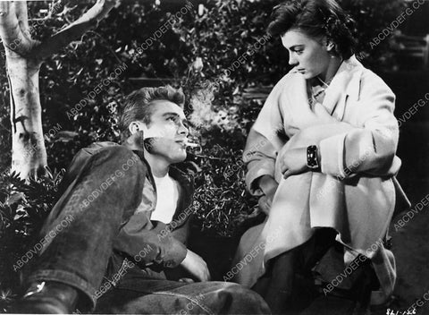 James Dean Natalie Wood film Rebel Without a Cause 6022-11