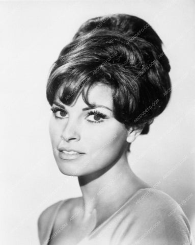 Raquel Welch 6184-04
