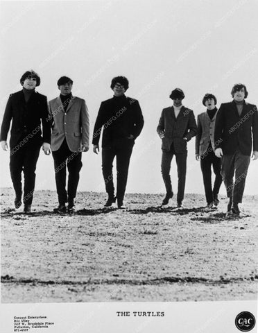 rock n roll group The Turtles 6249-16