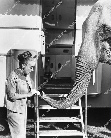 Joan Crawford playing w an elephant film Berserk 6573-34