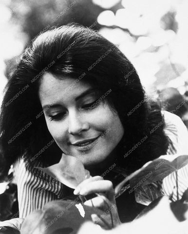 Diane Baker portrait 6974-08