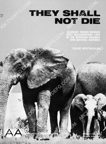 elephants documentary film They Shall Not Die by Dr Bernard Grzimek 7347-37
