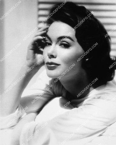 beautiful Barbara Rush portrait 7766-03