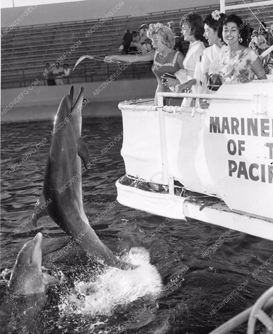 Marineland of Pacific Miss Universe Valeria Fabrizzi plus dolphins 81bx01-080