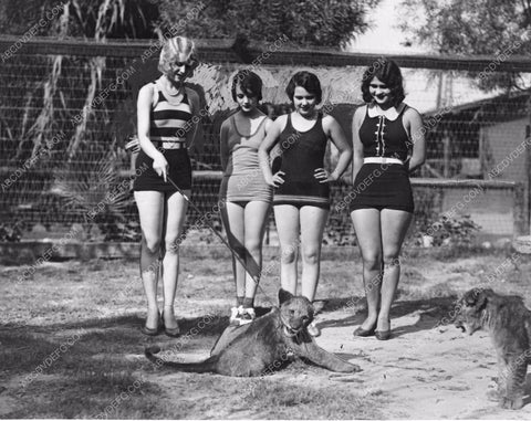 Paula Hays Evelyn Baker Bubbles O'Neill Cleo Cordova El Monte lion farm 81bx01-222