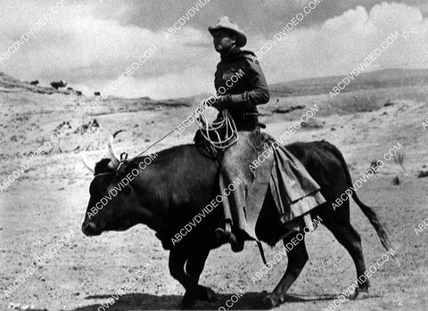 Joel McCrea riding a bull film Four Faces West 8233-12