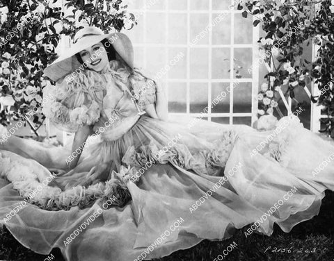 beautiful Dorothy Lamour 8242-1