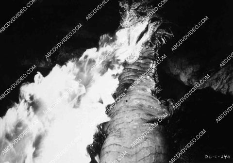 dragon attack sequence film Dragonslayer 8242-27