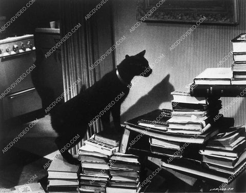 black cat climbing over the books film Daddy's Gone a Hunting 8597-27