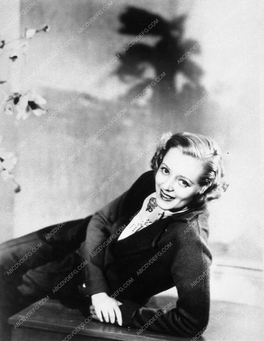 Evelyn Laye portrait 8611-22