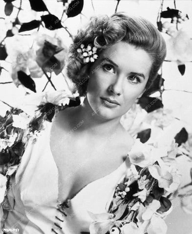 Sally Ann Howes portrait 8819-14