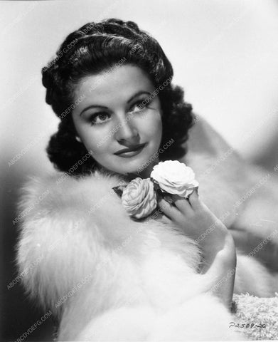 Margaret Lockwood beautiful portrait 8831-08