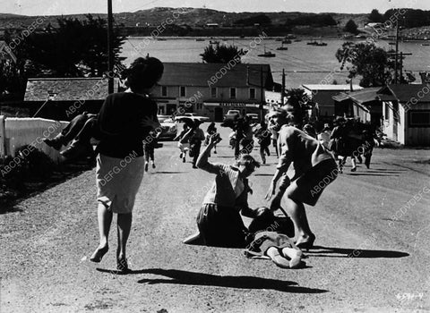 peopla fleeing in terror film The Birds 8856-11